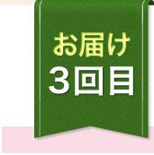 お届け3回目