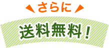 さらに送料無料!