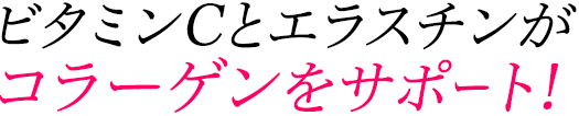 ビタミンCとエラスチンがコラーゲンをサポート!