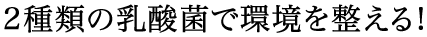 2種類の乳酸菌で環境を整える