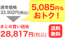 通常価格33,902円がまとめ買い価格で28,817円(税込・送料無料)