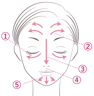 ほお→額→鼻→鼻の下→あごの順に薄くのばしていきましょう。