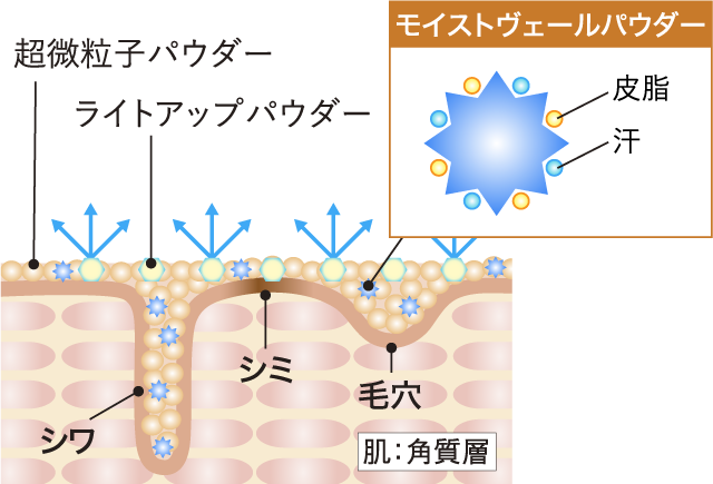 14種のアミノ酸、レリチノール、ビタミンC（すべてハリサポート成分）を独自処方　ハリ・うるおい・弾力をグッと！