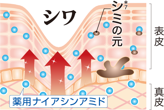 JJ薬用リンクルリフトジェル｜Jour en Jour｜Xena(ジーナ)公式サイト