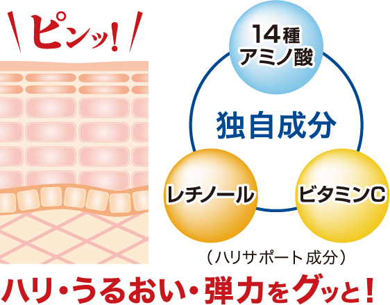 14種のアミノ酸、レリチノール、ビタミンC（すべてハリサポート成分）を独自処方　ハリ・うるおい・弾力をグッと！