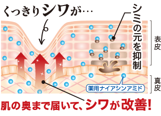 くっきりシワが…肌の奥まで届いてシワが改善