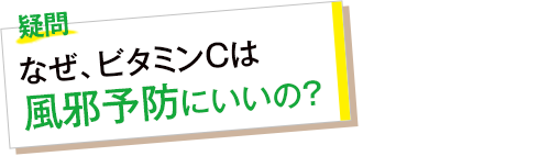 疑問 なぜ、ビタミンCは風邪予防にいいの?