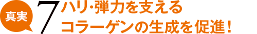 真実7 ハリ・弾力を支えるコラーゲンの生成を促進!