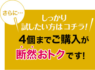 4個まで1,100円が断然おトクです!