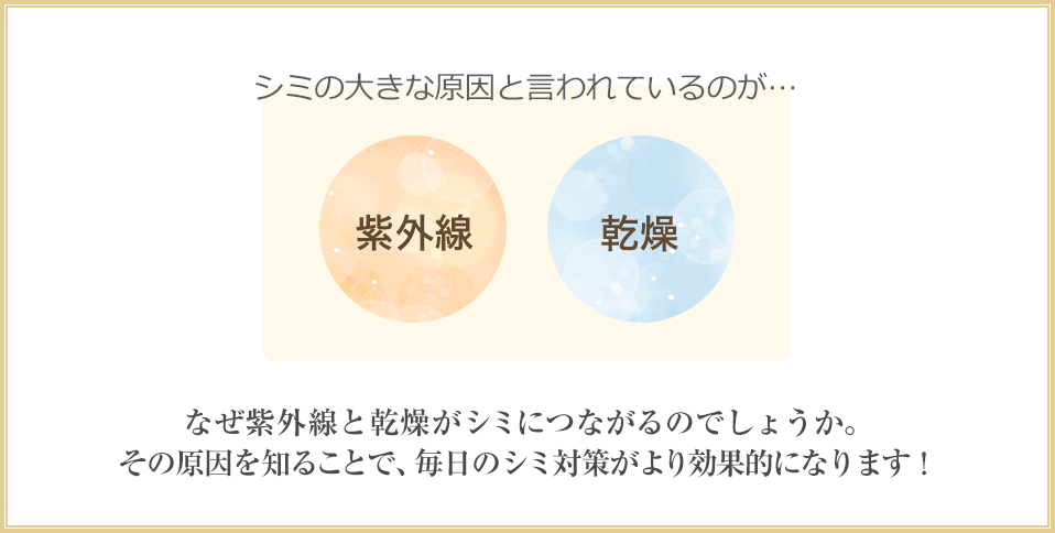 シミの大きな原因と言われているのが紫外線・乾燥 なぜ紫外線と乾燥がシミにつながるのでしょうか。その原因を知ることで、毎日のシミ対策がより効果的になります！