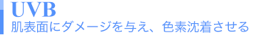 UVB 肌表面にダメージを与え、色素沈着させる
