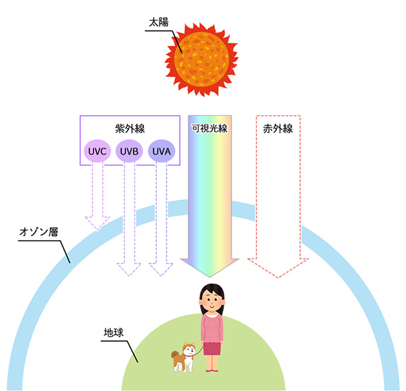 紫外線の図
