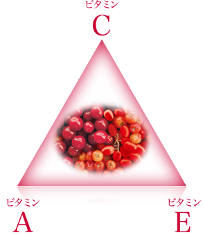 A・C・E(エース)バランスの図