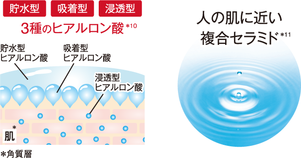 貯水型、吸着型、浸透型の3種のヒアルロン酸と人の肌に近い複合セラミド