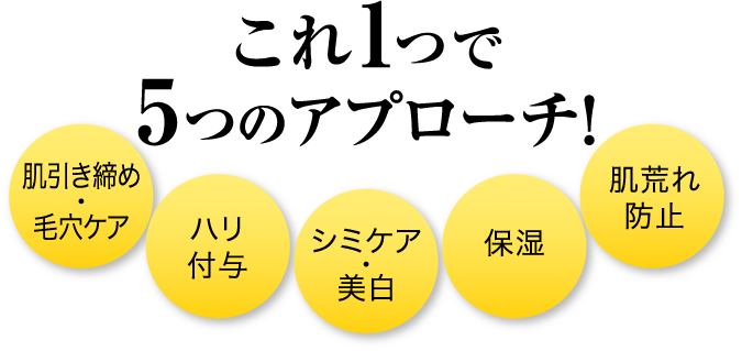 これ１つで5つのアプローチ