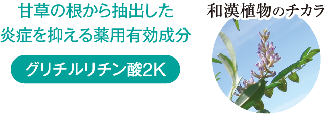 甘草の根から抽出した炎症を抑える薬用有効成分グリチルリチン酸2K