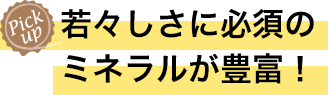 若々しさに必須のミネラルが豊富！