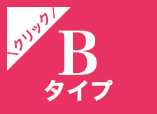 Bタイプ