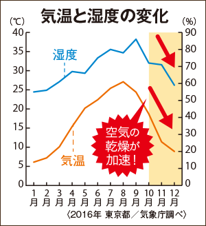 気温と湿度の変化