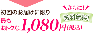 初回のお届けに限り最もおトクな1,080円(税込)さらに送料無料!