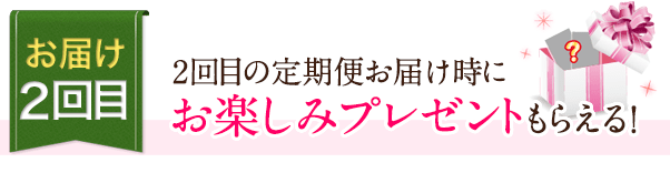 お届け2回目　2回目の定期便お届け時にお楽しみプレゼントもらえる!