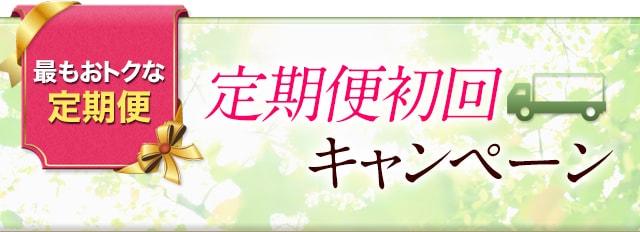 最もおトクな定期便　定期便初回キャンペーン