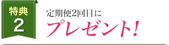 特典2 定期便2回目にプレゼント!