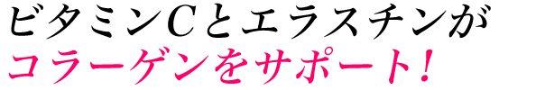 ビタミンCとエラスチンがコラーゲンをサポート!