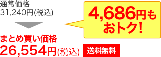 まとめ買い価格26,554円(税込)送料無料