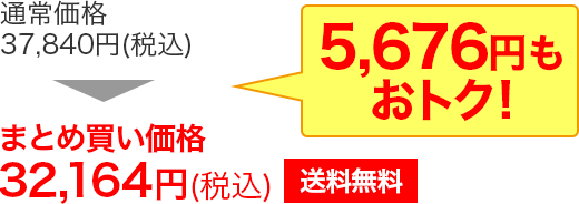 まとめ買い価格32,164円(税込)送料無料