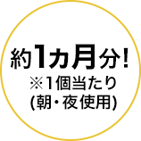 約1ヵ月分!※1個当たり(朝・夜使用)