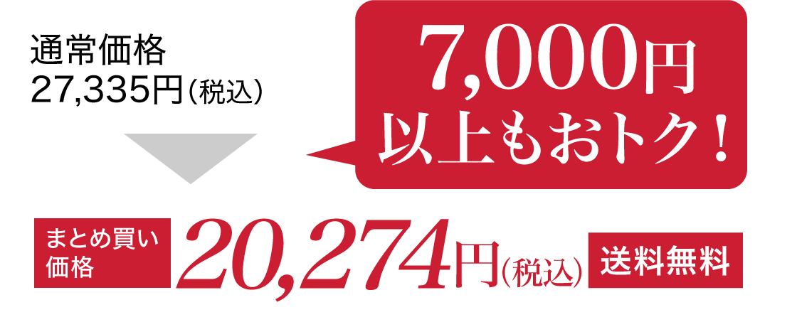 通常価格27,335円(税込)がまとめ買い価格で20,274円(税込)送料無料