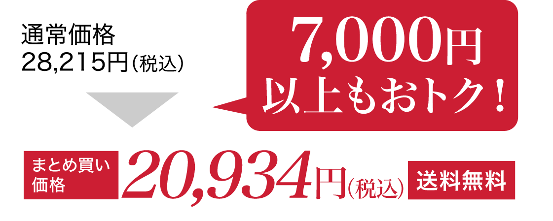 通常価格28,215円(税込)がまとめ買い価格で20,934円(税込)送料無料