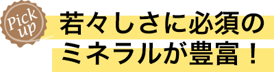 若々しさに必須のミネラルが豊富！